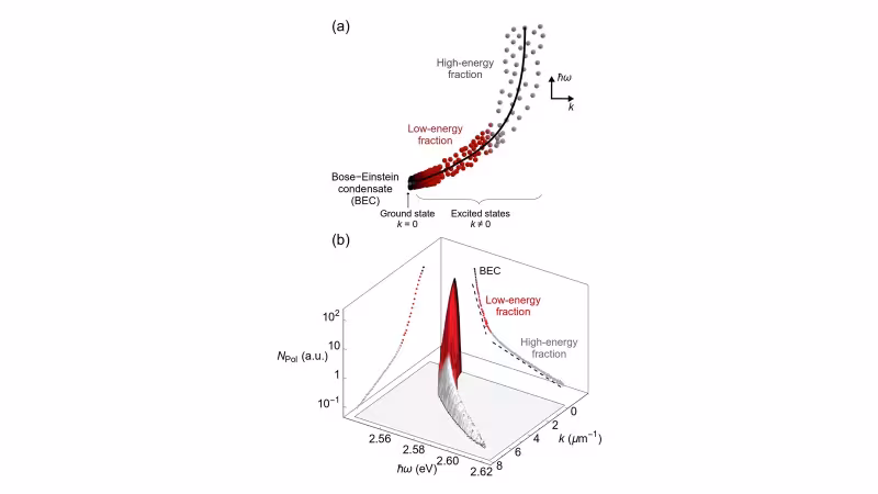 Figure from the paper “Stimulated cooling in non-equilibrium Bose-Einstein condensate”: Nonequilibrium BEC. (a) Schematic of the polariton thermalization in the energy-momentum space