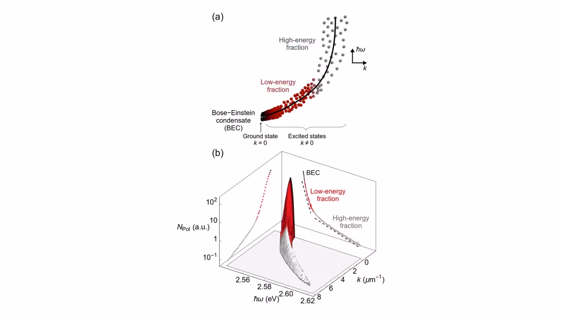 Figure from the paper “Stimulated cooling in non-equilibrium Bose-Einstein condensate”: Nonequilibrium BEC. (a) Schematic of the polariton thermalization in the energy-momentum space
