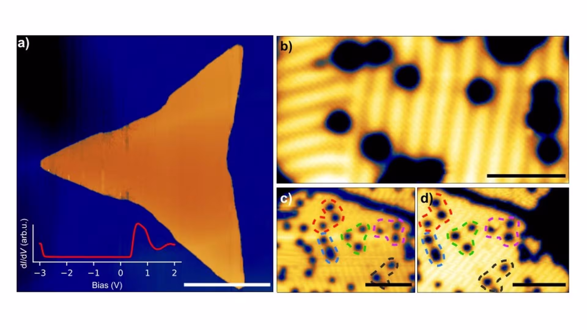 Figure from the paper “Universality of type-II multiferroicity in monolayer nickel dihalides”