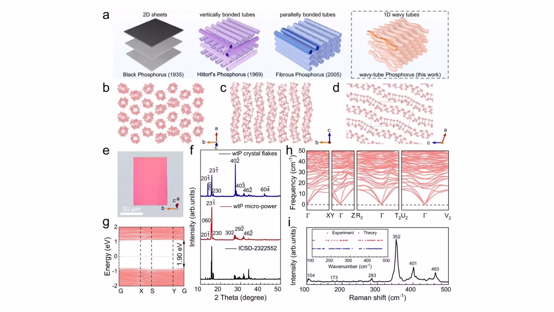 Figure from the paper “Strong optical anisotropy in one-dimensional phosphorus wavy tubes”: Crystal structure of wavy-tube phosphorus single crystals.